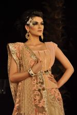 Model walk the ramp for Shane Falguni Show at Amby Valley India Bridal Week day 4 on 26th Sept 2011 (42).JPG